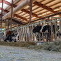 Counties with the most dairies are in Wisconsin and Pennsylvania.