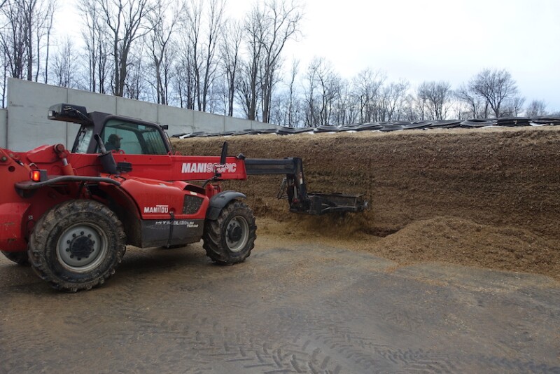 Silage Facer_Maureen Hanson