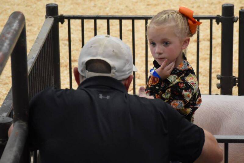 Harper Shike at the Team Purebred National Junior Show