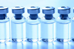 Research team is working on novel vaccine and diagnostic strategies aimed at better control and prevention measures targeting swine infectious diseases. This includes porcine reproductive and respiratory syndrome (PRRS), classical swine fever virus (CSF), African swine fever (ASF), and other emerging viral diseases of swine.