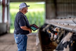 Performance Livestock Analytics provides easy-to-use software for cattle producers.