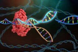 Gene Editing FDA