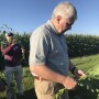 Crop Tour - Scouting beans in Illinois