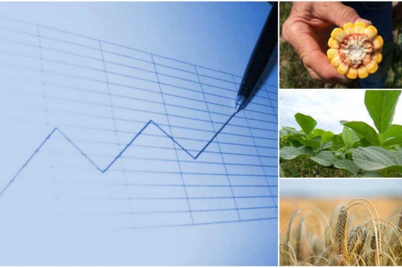 Crop price speculation