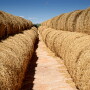 The latest Crop Production report from USDA-NASS shos May 1 hay stocks at 14.9 million tons, down 2.9% year over year.  However, May 1 hay stocks in 2018 were also small.  
