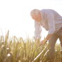 Delbert Bland, president and owner of Bland Farms, checks out the Vidalia onion crop. The company has put a number of safety regulations in place for H-2A workers in light of the COVID-19 pandemic, he says.