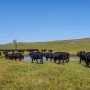 Dumbbell Ranch, Nebraska