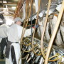 Dairy_Parlor_Employees