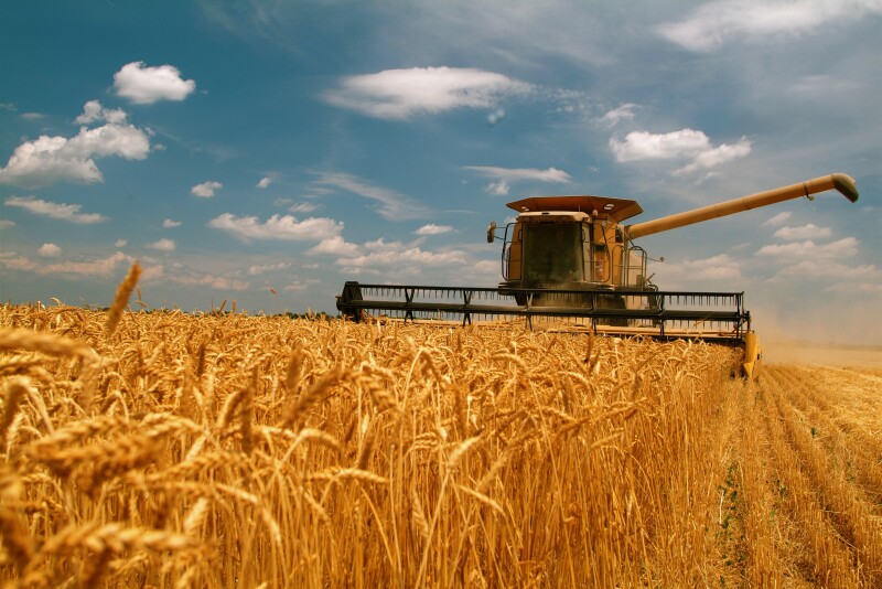 Wheat harvest is kicking off in major wheat growing areas, while wrapping up in the South. As combines roll, growers are facing below break-even prices, even with the recent Chinese buying spree. 