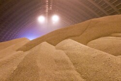 POTASH