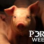 Pork Week Pig
