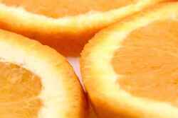 citrus-banner.jpg