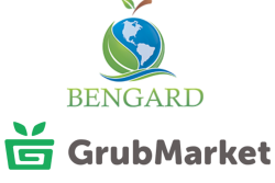 GrubMarket-Bengard.png