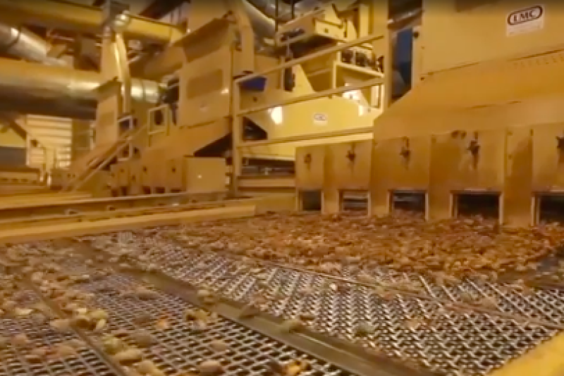 California’s Almond Industry Reeling From Tariffs