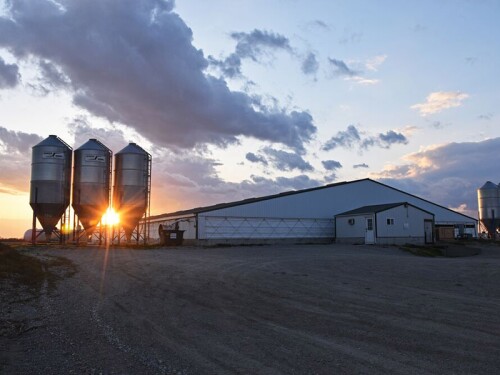 Hog barn with sunset