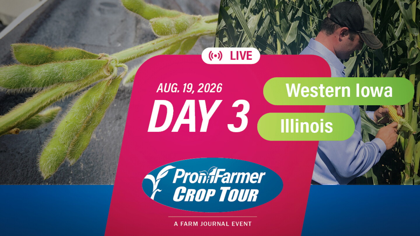 Day 3 recap: Pro Farmer Crop Tour turns spotlight on Illinois and western Iowa - Pro Farmer image