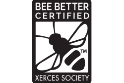 bee better