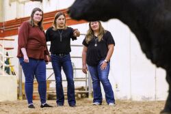UNL Beef Researchers
