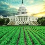 Farm Bill