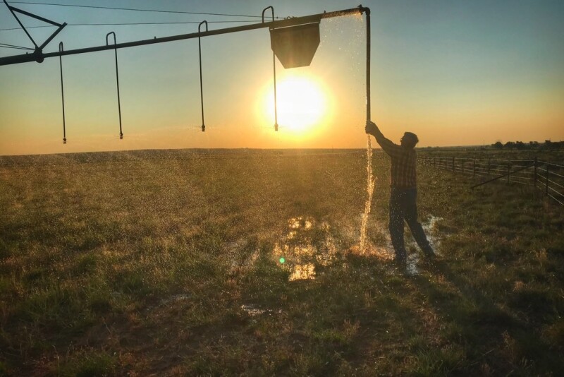 Research suggests using center pivot irrigation systems for cow cooling.