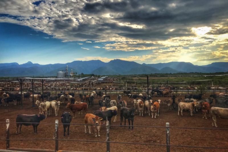 Farm Journal