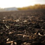 RedRiverValleySoil