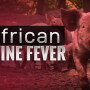 The pork industry continues to grapple with the impact of African Swine Fever. From supply to demand, it's an outbreak that could have a lasting effect. 