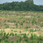 “There may be a win-win opportunity out of this for some folks. If it's a field that has been historically wet, going to prevent plant may offer an opportunity to do a summer tile project and, improve the drainage on that farm.” 