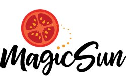 MagicSunLogo-white.jpg
