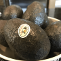 California avocado growers have dealt with adverse weather this season, but volumes should significantly more than last season.