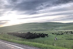 Bair Ranches