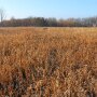 Dr. Carl Zulauf of Ohio State University, via a FarmDoc Daily article, proposes merging General CRP and Continuous CRP into a Site Specific CRP.