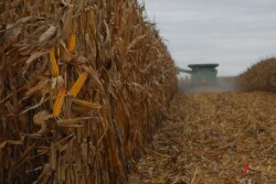 2019 proved no matter what obstacles Mother Nature throws at farmers, a bountiful crop is possible. Analysts say that could make it even more difficult for the market to produce a weather rally in the future. 