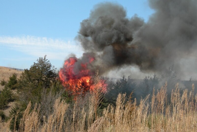 Cedar_Tree_Fire
