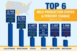 Top Milk Production States