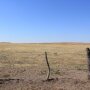 BT_Drought_Pasture_Nebraska.jpg