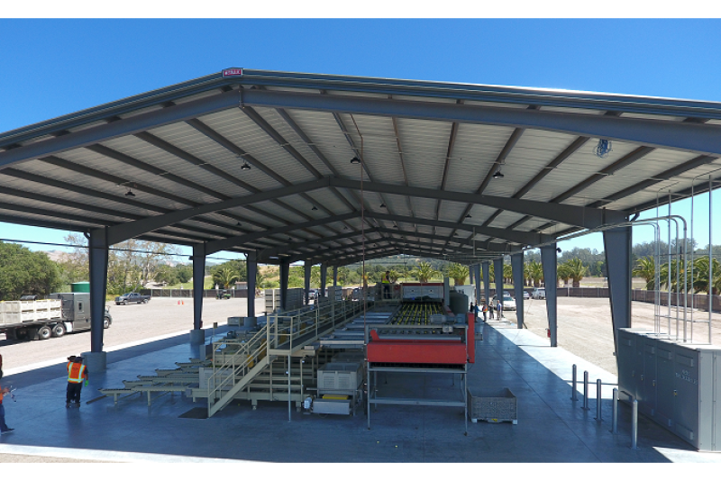 Bee Sweet Citrus has added a wash line to ensure fruit is free of Asian citrus psyllids.