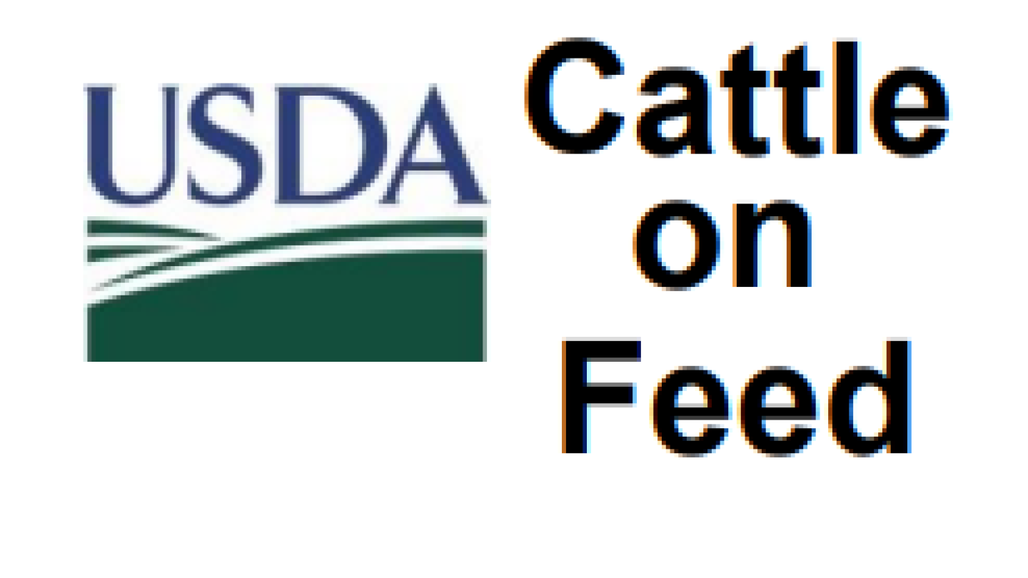 Cattle on Feed Report Dec. 1 feedlot inventory slightly bigger than
