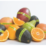 2D80328F-D7B9-4A27-89154E3D146A65C4.png