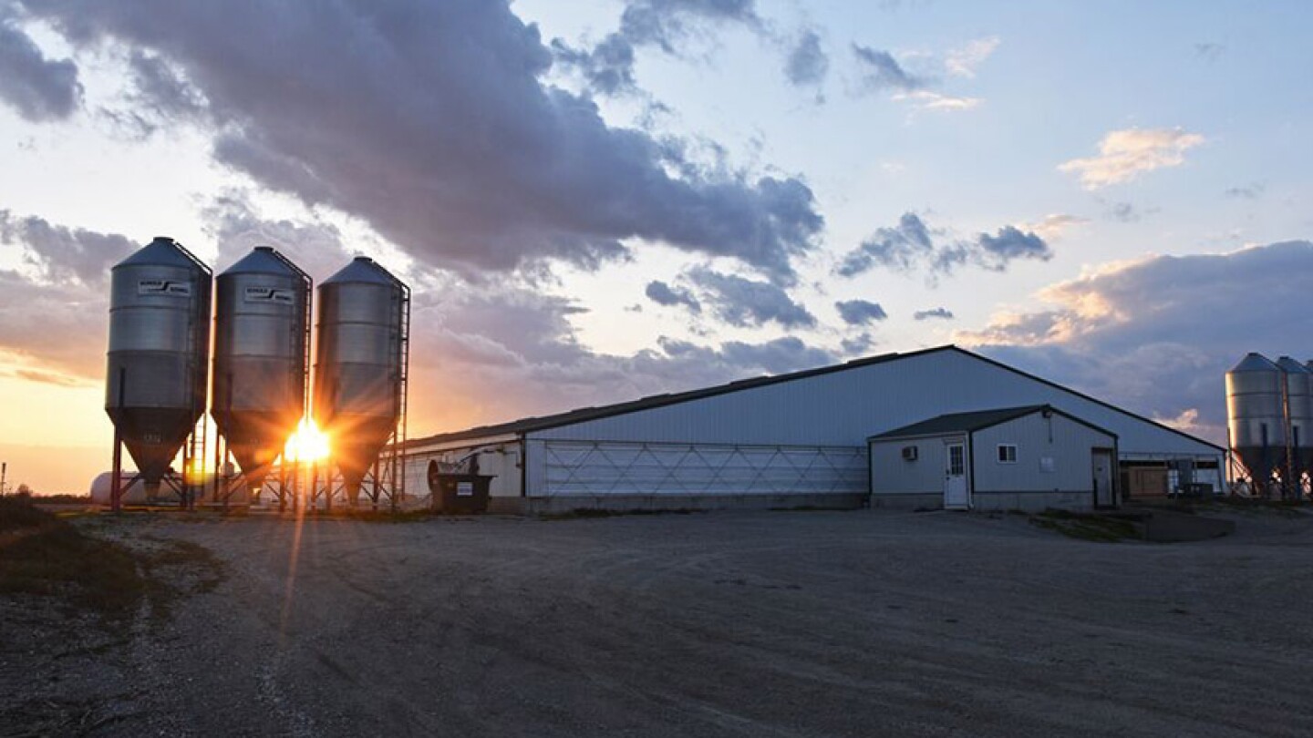 New Program Links Livestock Barn Monitoring to Risk Reduction