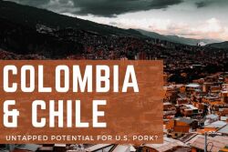 Colombia and Chile Pork Study