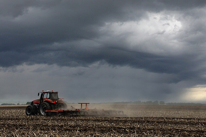 Rain or Drought