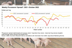 Pork Processors' Spreads 2021-22