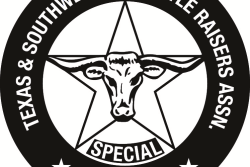 TSCRA_Ranger_Seal