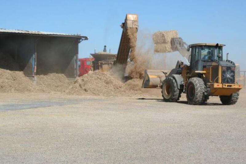 Feedlot_Feed_Commodity