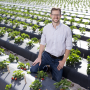 Vance Whitaker, a UF/IFAS associate professor of horticultural sciences, used an algorithm that gives him the ability to predict how a strawberry will taste.