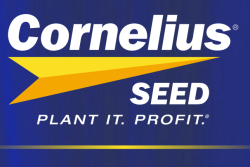Cornelius Seed.PNG