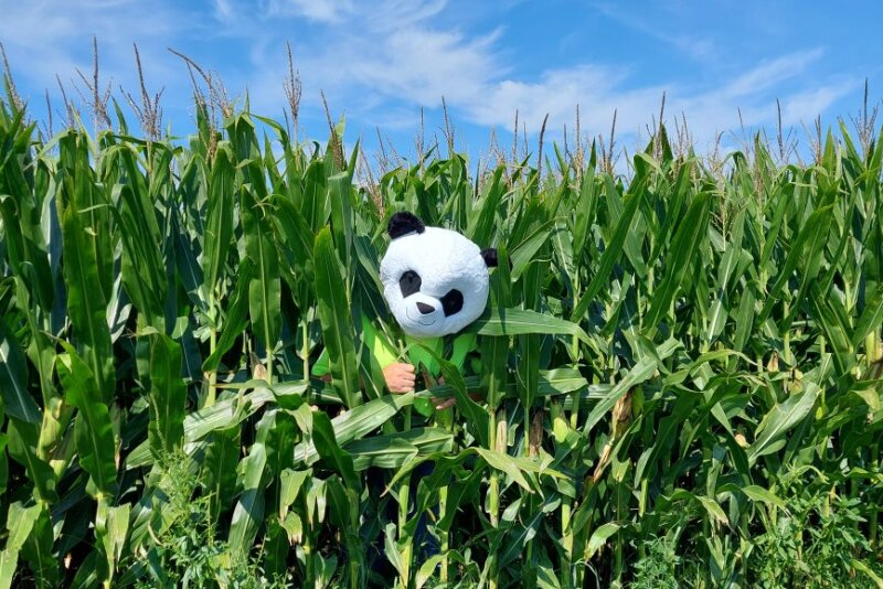 We've compiled a few tweets from #PFTour22 that showcase how scouts kept things "interesting" as they made their way north.