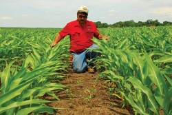 After 40 years in the field, agronomist Ken Ferrie shares his top lessons for farmers.