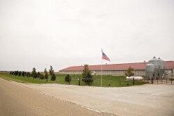 Darren Brown Pig Farm by IPPA